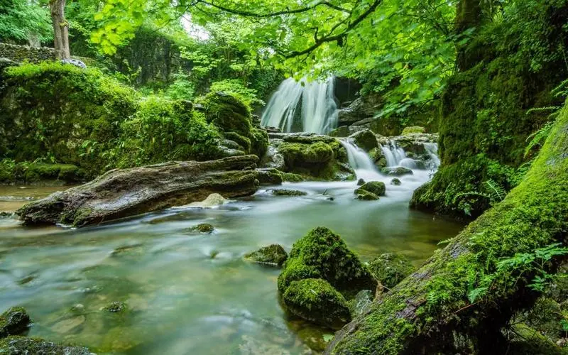 绿色绿色高精度